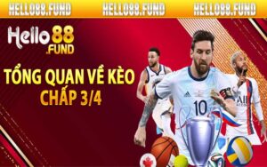 Tổng quan về kèo chấp 3/4